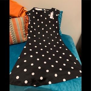 NWT Fit & Flare polka dot dress w/ pockets
